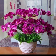 🔥READY STOCK ORKID RIMBUN BUTTERFLY + PASU warna ungu pekat size lebar 45cm x tinggi 50cm🔥