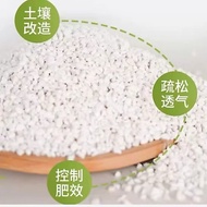 Perlite Stone Bonsai Succulent Cactus Soil Mix Batu Tanah Gardening 1L-3L 珍珠岩 3-6mm