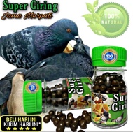 JAMU MERPATI SUPER GIRING KEKET KERAS isi 50 Butir paling ampuh dalam 2 hari liur sarang walet klenc