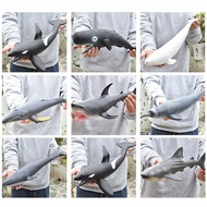 Ready Rubber Sea Animal Toys Sea Animal Toys Sea Fish Toys Dolphin Shark Toys penguin Turtle Seal