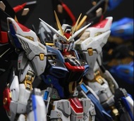 STRIKE FREEDAM (MGEX)1/100完成品