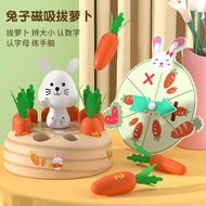 DANNIFITE | Educational Pulling Carrot Baby Toys 6+ Months