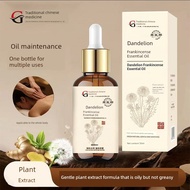 lip serum Dandelion Frankincense Essential Oil Wormwood Plant Essence