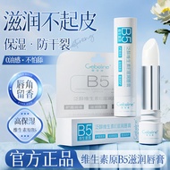 Vitamin B5 Lip Balm Moisturizing Moisturizing Exfoliating Dead Skin Lightening Lip Lines Primer Anti