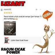 POWER RACUN CICAK LIZANT WHOLESALE