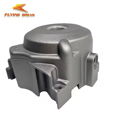 Original Daytona Engine left side cover suitable for Daytona 190cc ANIMA 190FE E-start/5speed/with L