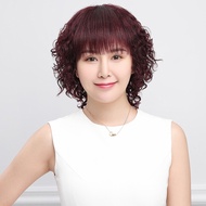 Short Wig Real Hair-Qi Bangs Fluffy Wool Curly Hair Female 2 Colors 74ai44 [Wendy House]