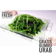 Fresh seaweed/lambukasang/seaweed/chuka wakame