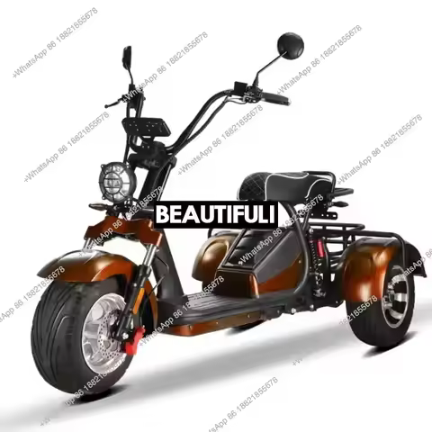 Unisex 3-Wheel Electric Tricycle Citycoco EEC Approved Electric Dirt Bike Scooter And Motorcycle 200