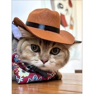 Cool Pet Hat Cat Puppy Dog Hat Headwear Western Cowboy Busy Photograph nomi Mini Cowboy Hat CT06