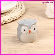2 Pcs Small Seasoning Spice Container Owl Kitchen Accessories Owls Ceramic Bottle