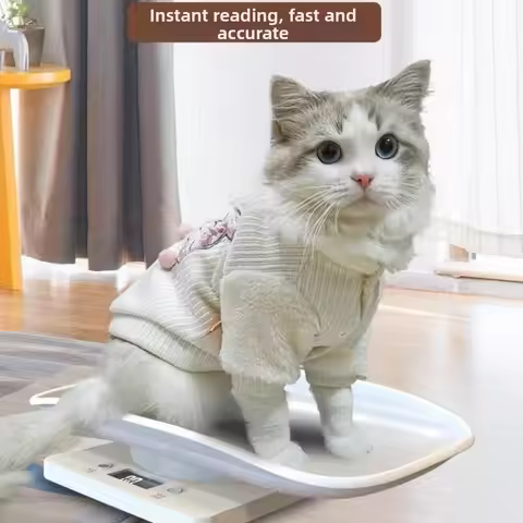 Grams Weight Digital Pet Scale Precision LCD Display Small Animal Scale 1g-10kg Electronic Measureme