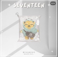 包郵台灣飯製 seventeen Hoshi 娃包 權純永 順榮