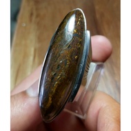 Tiger Eye Biduri