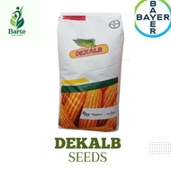 DEKALB 8282S hybrid corn seeds/bayer (11kilo)