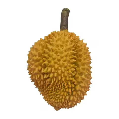 Fake Durian Artificial Durian Simulation Fruit Durian Model Ornament Fake Fruit