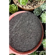 Sekam Padi Bakar/Fine Burnt Rice Husk(Halus)3kg Rm4.50