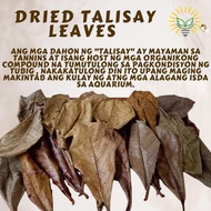 Dried talisay leaves(50 leaves)