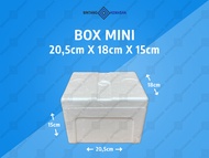 Box Styrofoam Mini 20,5 x 18 x 15cm Box Packing