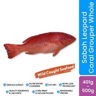 BEACON Wild Caught Sabah Leopard Coral Grouper Whole 401g