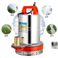 Water Pump 72v12v48v Water Pump 12V Electric Vehicle High Power Low Voltage DC Submersible Pump Pres