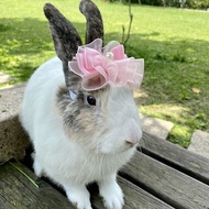 Q1-手工寵物生日帽子寵物髮飾頭套兔兔牽繩衣配件兔子花圈
