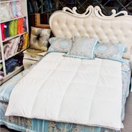 [HOHO live] 98% French Down Quilt.single 60 Pure Cotton Anti-Fleece Table Cloth