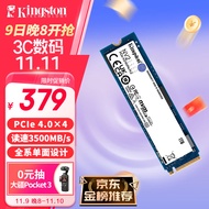 金士顿(Kingston) 1TB SSD固态硬盘 M.2(NVMe PCIe 4.0×4)兼容PCIe3.0 NV2 读速3500MB/s AI 电脑配件