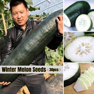 Good Quality Hybrid Black Skin Winter Melon Seeds for Planting (30 Seeds Per Bag) 黑皮冬瓜籽 Vegetable Se