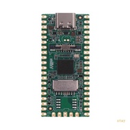 stay CV1800B TPU RISC-V 2Core 1G Linux Board For AI RAM-DDR2-64MB Milk-V Duo for Pico