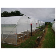 2Meter x 107 Meter Transparent UV Greenhouse Film Filem Rumah Hijau Farm Net UV Plastic, UV Cover, G