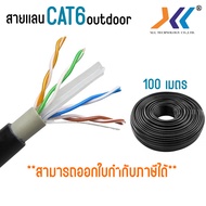 สายเเลน CAT6 Outdoor สายอินเตอร์เน็ต Lan Cat6 cable Network สายเเลนใช้ภายนอกอาคาร ความยาว 100 เมตร 3