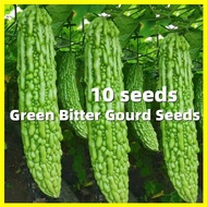 Green Bitter Gourd Seeds 10pcs Benih Peria Bitter Gourd Seeds for Plant Balsam Seeds Vegetable Seeds