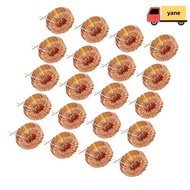 YANE 20PCS Inductor Wire, 3A Vertical Toroid Toroid Inductor, Practical 5026 330UH Toroidal Inductor