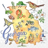 Boston International IHR State Collection 3-Ply Cocktail Beverage Paper Napkins, 5 x 5-Inches, Georg