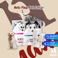 Cat Collar Anti Flea Collar Cat Flea Collar Dog Collar Anti Flea Rantai Kucing Anti Kutu Kolar Kucin