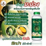 ปุ๋ยน้ำสำหรับมะม่วง ซิกม่า 21-3-3 ตราเจ้าทิพย์ ปุ๋ยน้ำเร่งใบ เร่งตอกยอด ขยายกอ ฟื้นฟู้ต้นหลังเก็บเกี
