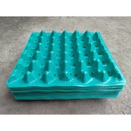 ATLANTA PLASTIC egg tray by 24pcs (ATLANTA)
