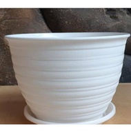 21 cm wasp Pot plus coaster