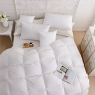 鴻宇 6x7尺 愛情海羽絨被 100%天然水鳥羽毛 台灣製