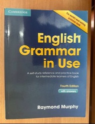 English Grammar In Use