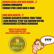 BUNGA ANGGREK BULAN / BUKET BUNGA ANGGREK / RANGKAIAN BUNGA ANGGREK