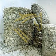 (OUT OF STOCK)PREMIUM 2nd CUT TIMOTHY HAY From USA