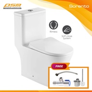 SORENTO One Piece Water Closet  Wash Down Flushing System Bathroom WC Toilet Bowl Package SRTWC8318-