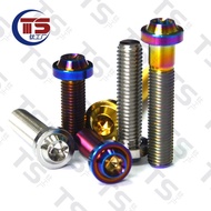 Ts Titanium Alloy Screw UFO Head Inner Torx M10 Motorcycle Modified Screw Multicolor Abalone Caliper
