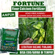 1 KG FORTUNE Obat Anti Penyakit Kuning Keriting Rontok Daun Kacang Panjang Terbaik - Pupuk Kalsium S