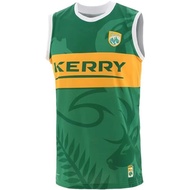 2023 2024 GAA Jersey Galway Kilkenny Dublin Shirt Ireland Retro Jersey 1916 Commemoration Jerseys De