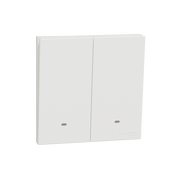 Schneider AvatarOn C 16AX 250V 2G 2 WAY switch with fluorescent locator