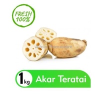 Ready Akar Teratai / Lotus Root 1 Kg