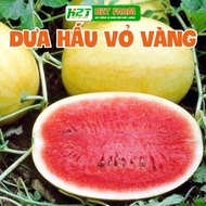 F1 YELLOW 9999 hybrid watermelon seeds with YELLOW skin and red flesh, pack of 5 seeds.- H2T FARM